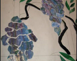 The flower clusters are cut